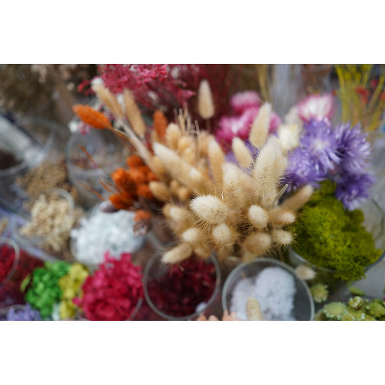 Sony FE 24mm f/2.8 G Lens E-Mount Full-Frame for Sony Mirrorless Cameras SEL24F28G