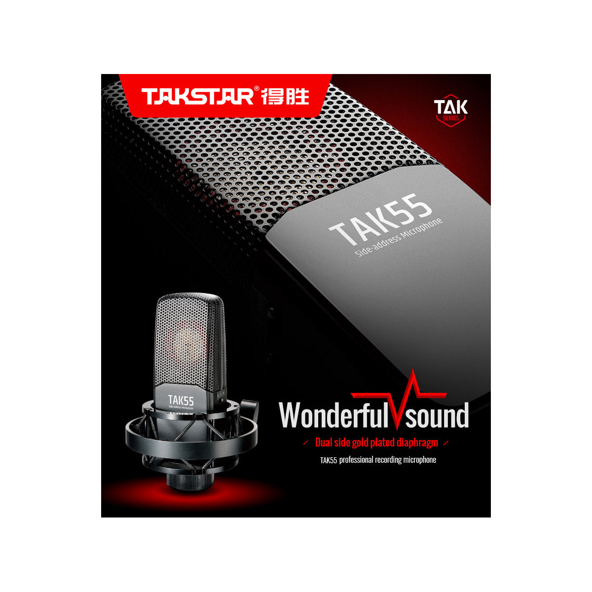 CLEARANCE Takstar MICROPHONE TAK55