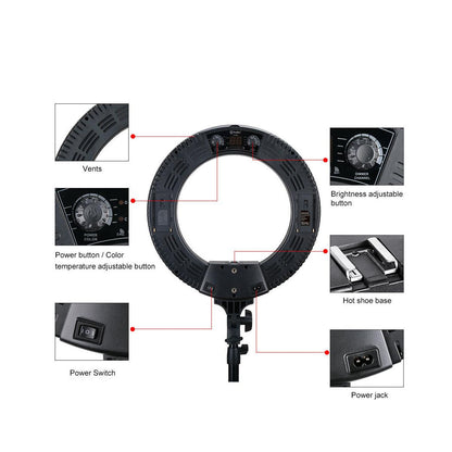 CLEARANCE R40B 14 inches Ring Light Dual Color Tone Photo Lighting for Video Studio Vlog Beauty