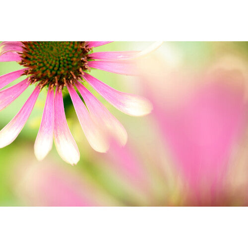 Tamron 90mm f/2.8 Di III VXD Macro Lens for Full-Frame Mirrorless Sony E-mount Cameras