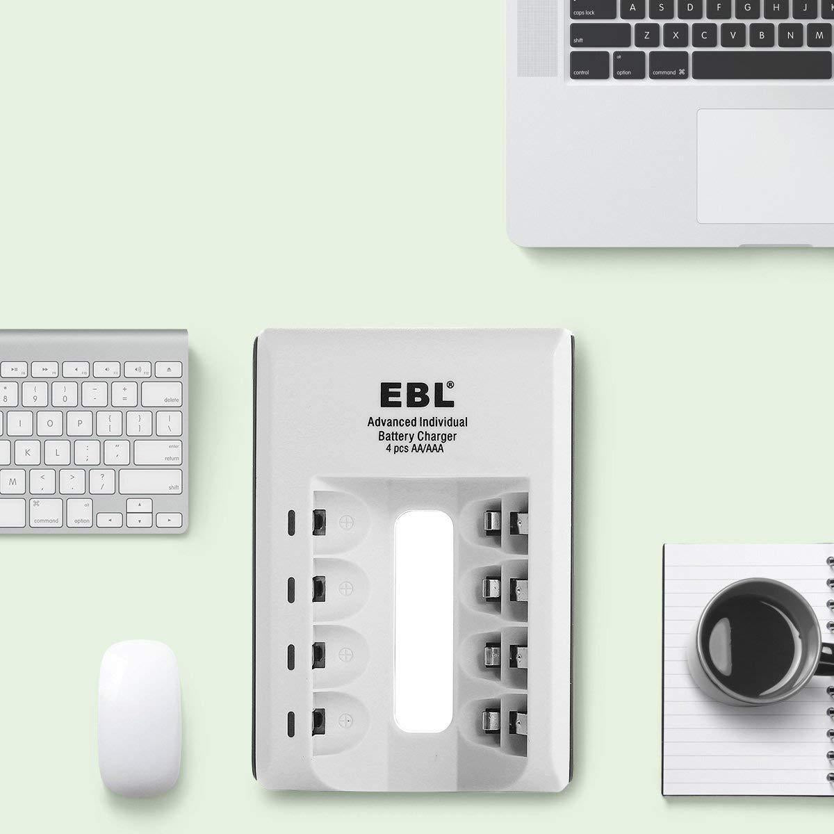 CLEARANCE EBL CHARGER LN-6420