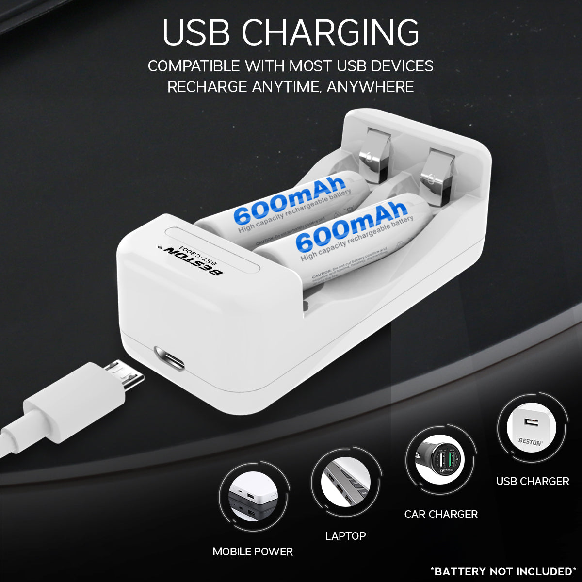 Beston C8001 2-Bay Charger Battery Charger for AA / AAA Rechargeable Battery BST-C8001