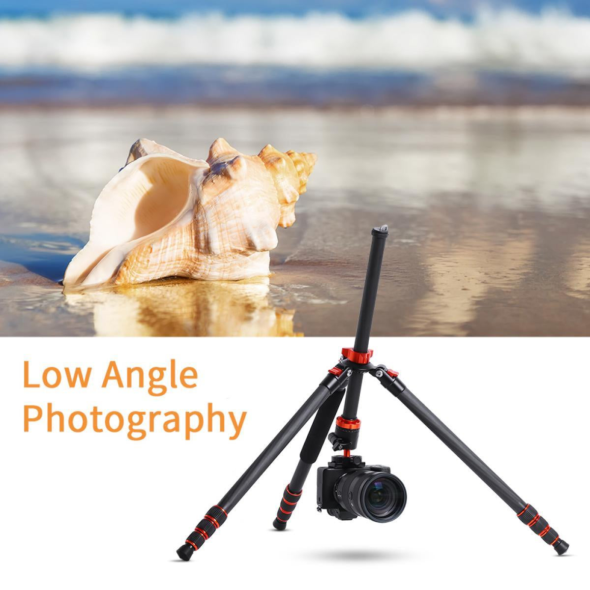 CLEARANCE KF TRIPOD SA254C1 KF09.091 (KF09.098)