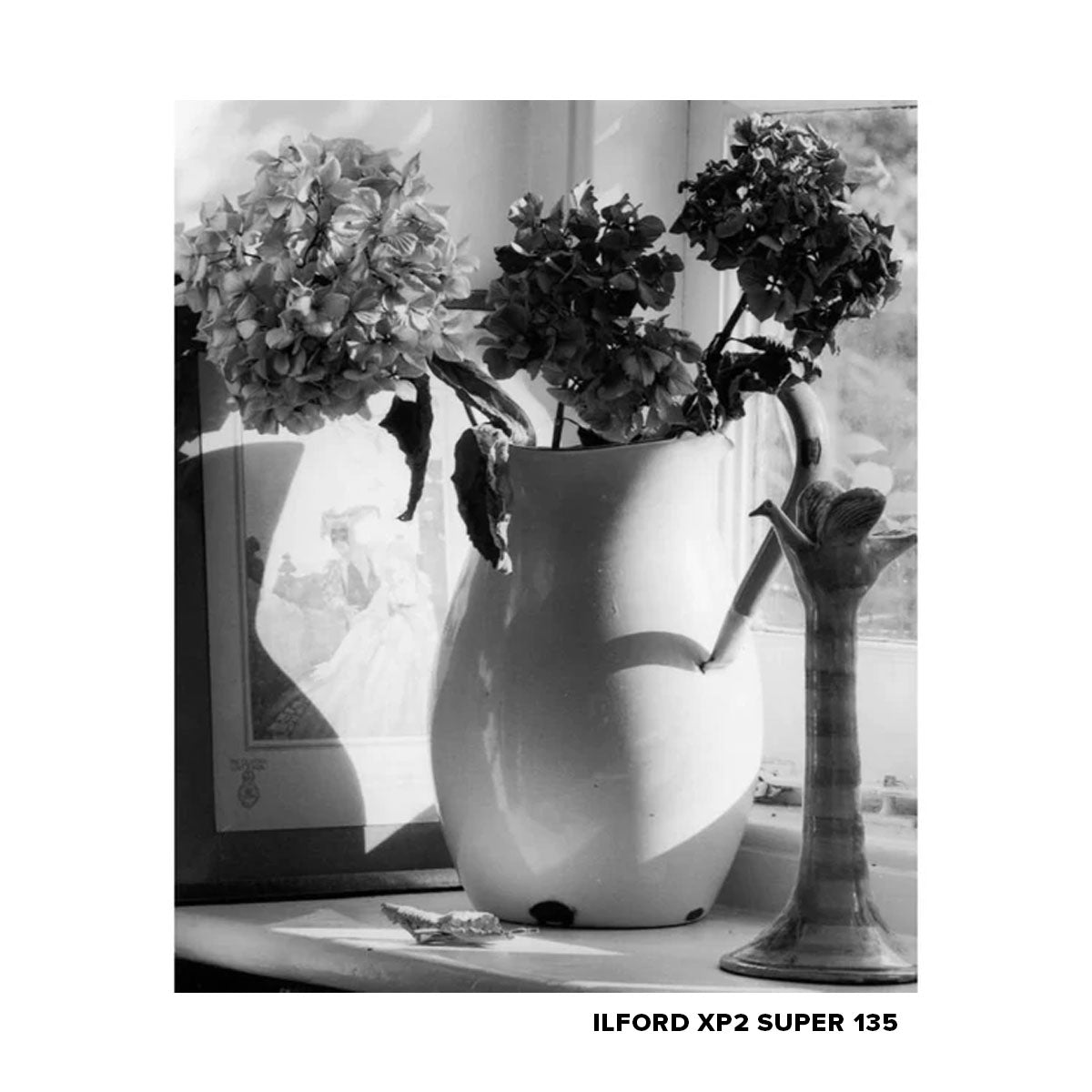 ILFORD XP2 Super 135 400 ISO Black and White Negative Film 36 Exposures Fine Grain Sharpness C41 C-41 Print Process