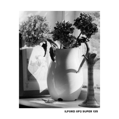 ILFORD XP2 Super 135 400 ISO Black and White Negative Film 36 Exposures Fine Grain Sharpness C41 C-41 Print Process