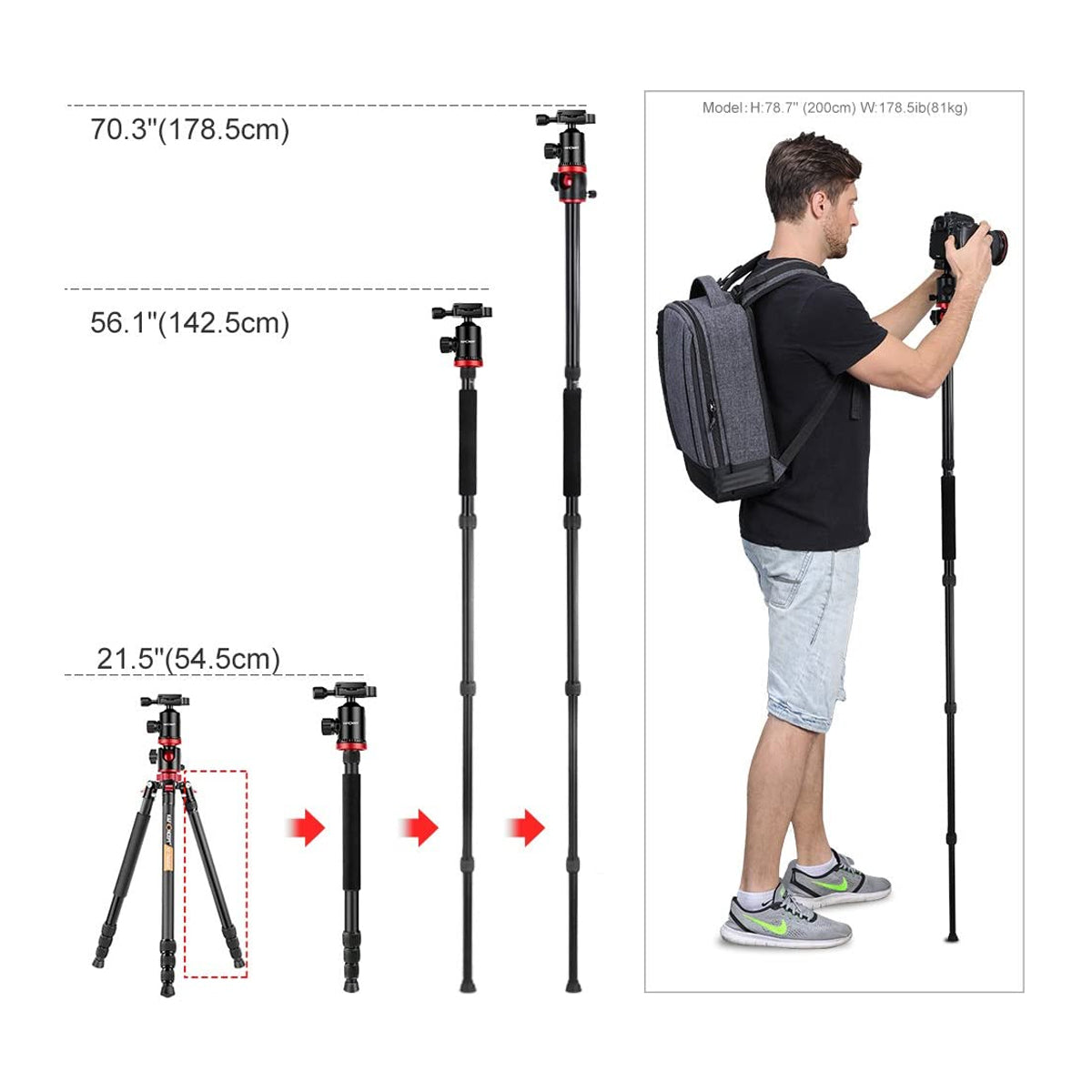 K&F Concept TM2534T DSLR Camera Tripod 66 Inch Portable Magnesium Aluminium Monopod 4 Section with 360 Degree Ball Head