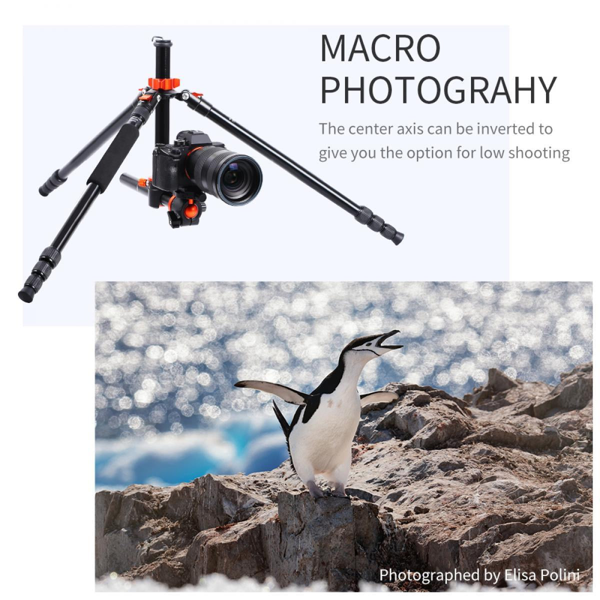 K&F Concept SA254T2 Lightweight Aluminum Compact Tripod KF09.090