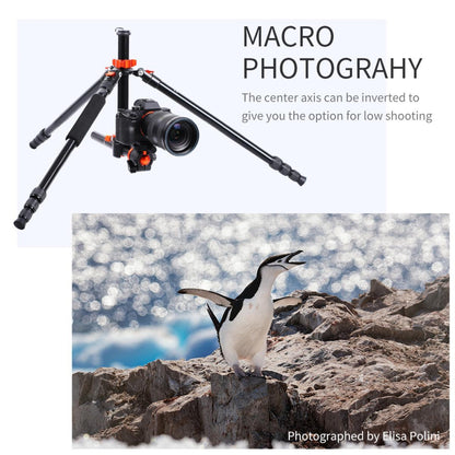 K&F Concept SA254T2 Lightweight Aluminum Compact Tripod KF09.090