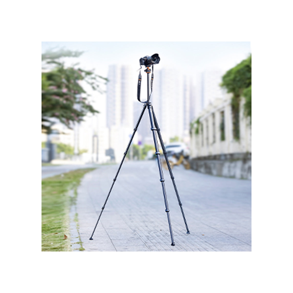K&F Concept M1 + BH-35L Tripod with Ball Head Compact Travel Aluminium Alloy KF09.105