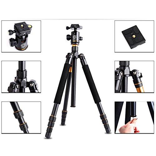 CLEARANCE QZSD Tripod Q555