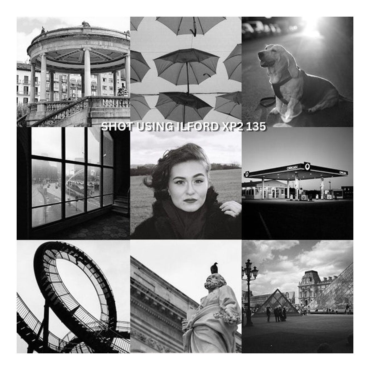 ILFORD XP2 Super 135 400 ISO Black and White Negative Film 36 Exposures Fine Grain Sharpness C41 C-41 Print Process