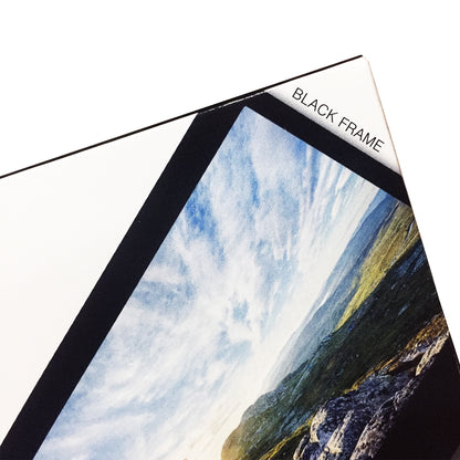 FUJIFILM Instax Wide Instant Film Black Plain Solid Color / Brushed Metallics 10 Sheets