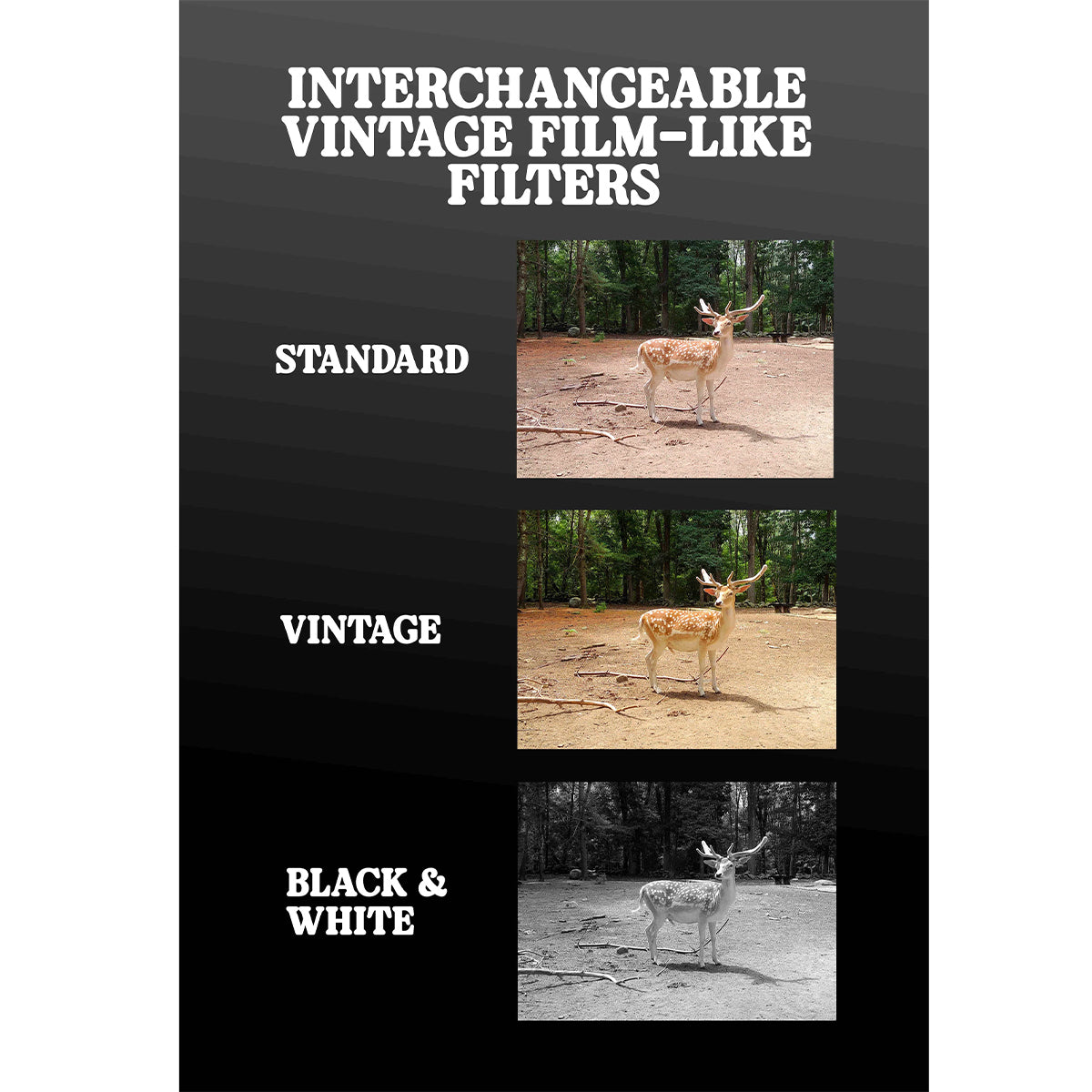 Camp Snap V103B / V105 Digital Film Camera 8MP Point and Shoot Vintage Photo Retro Screen Free with Flash Type C