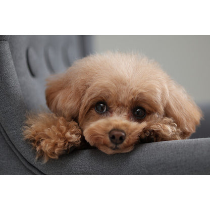 Canon EOS R10 Mirrorless Camera with 18-150mm Lens 24.2MP APS-C 4K 30fps Touchscreen