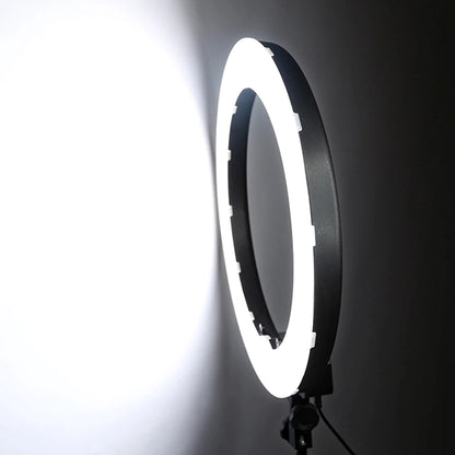 RL600 Ring Light 5500K 600pcs LED Photographic Lighting Dimmable for Photo Video Studio Phone Photography Lamp
