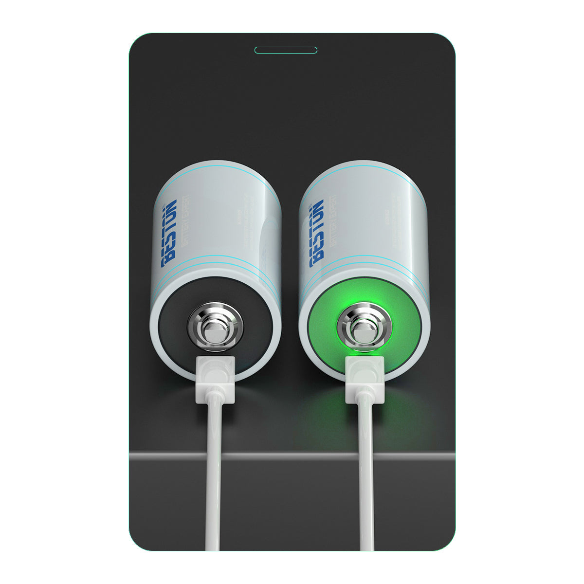 Beston 1pc Type D Size 1.5V Li-ion 6000mwh Type C Rechargeable Lithium Battery DLC-40 with Cable