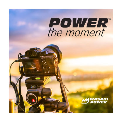 Wasabi Power Battery for Sony NP-F730, NP-F750, NP-F760, NP-F770 (L SERIES) Battery (2-PACK) And Dual Charger