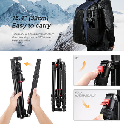 CLEARANCE K&F Concept TM2515T Tripod Monopod Kit 60 inch for DSLR Cameras 60 Professional KF09.085v1