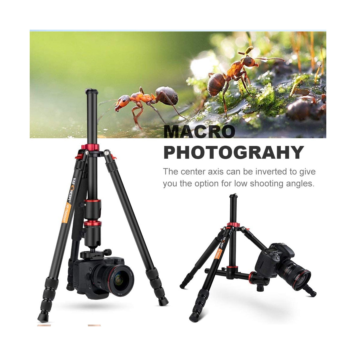 K&F Concept TM2534T DSLR Camera Tripod 66 Inch Portable Magnesium Aluminium Monopod 4 Section with 360 Degree Ball Head