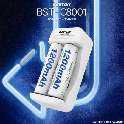 Beston C8001 2-Bay Charger Battery Charger for AA / AAA Rechargeable Battery BST-C8001