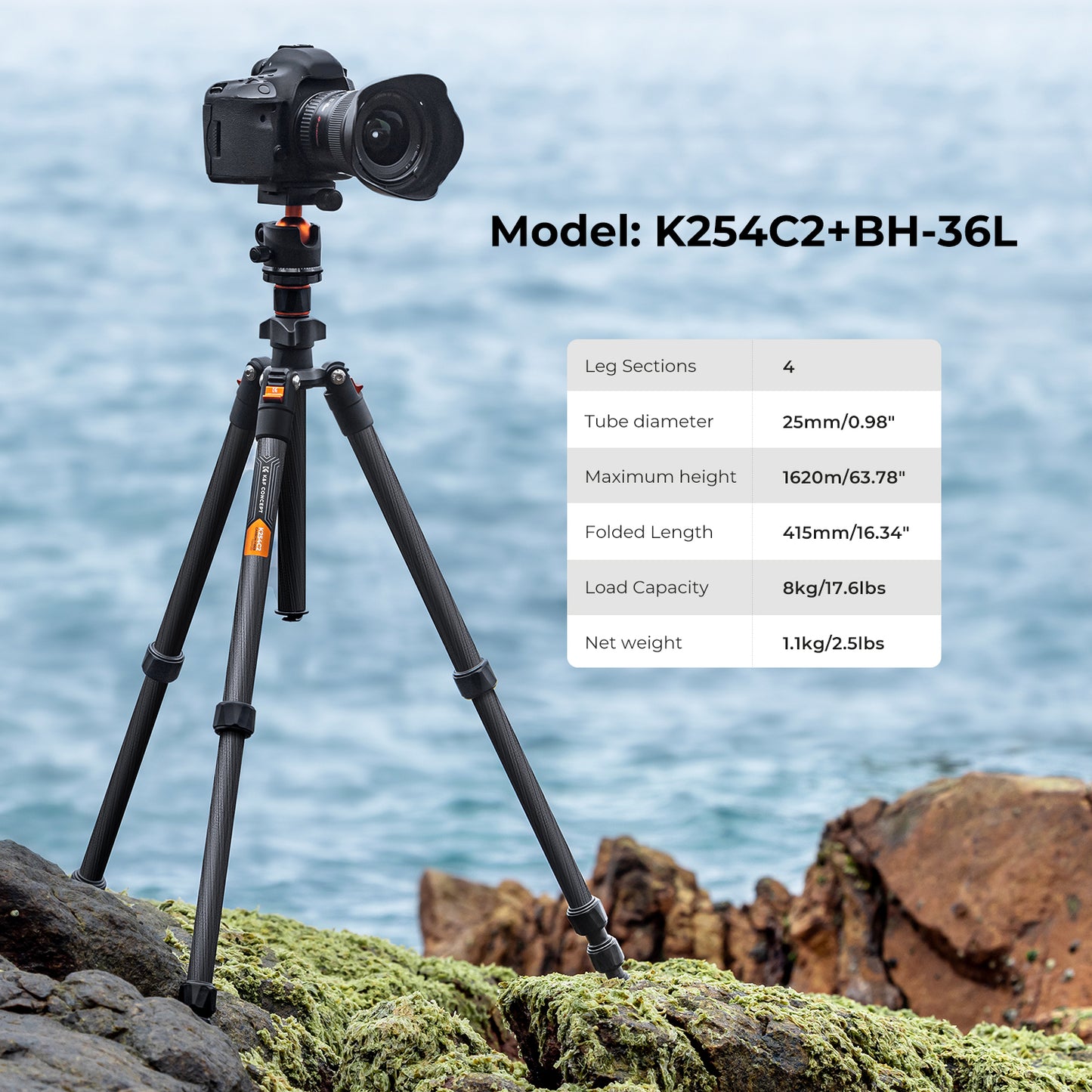 K&F Concept K254C2+BH-36L 64" Carbon Fiber Lightweight Travel Tripod with 36mm Ball Head Quick Release Plate KF09.123