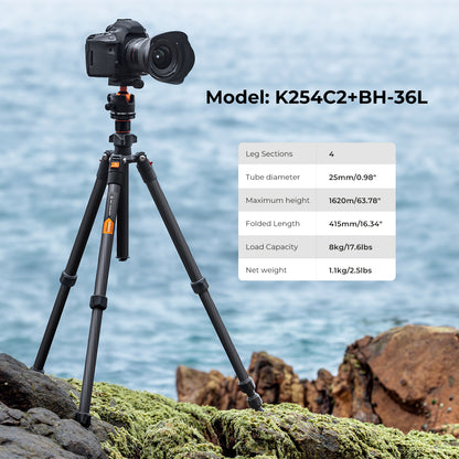 K&F Concept K254C2+BH-36L 64" Carbon Fiber Lightweight Travel Tripod with 36mm Ball Head Quick Release Plate KF09.123