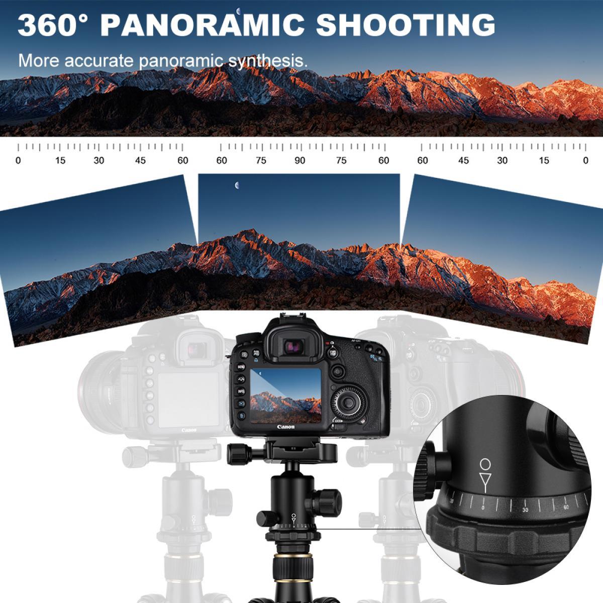 K&F Concept 62'' TM2324 DSLR Tripod, Lightweight and Compact Aluminum Camera Tripod with 360 Panorama Ball Head Quick Release Plate for Travel and Work TM2324