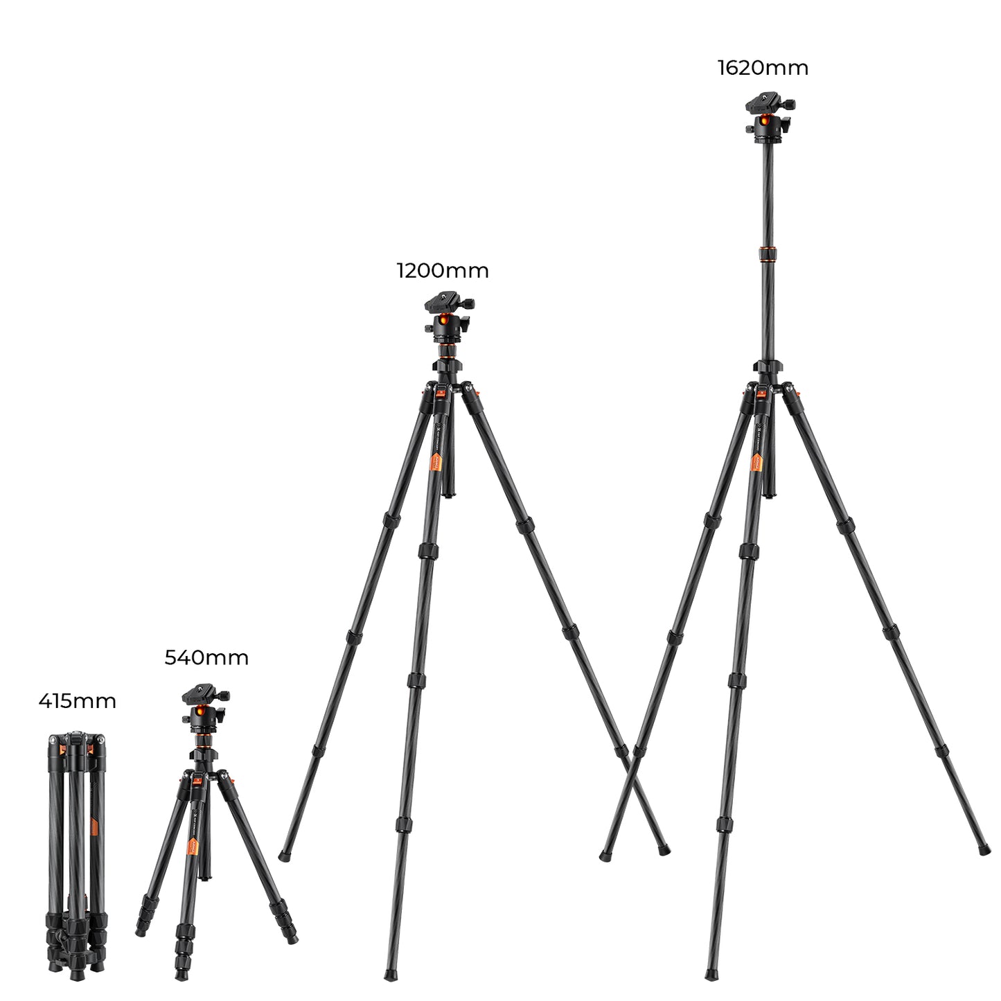 K&F Concept K254C2+BH-36L 64" Carbon Fiber Lightweight Travel Tripod with 36mm Ball Head Quick Release Plate KF09.123