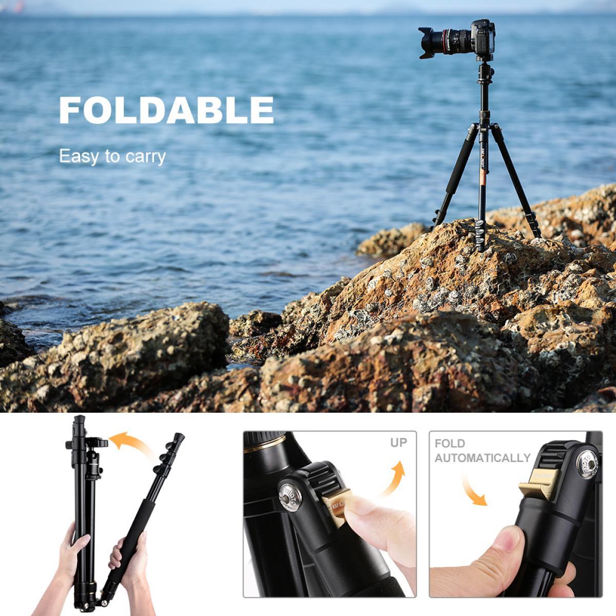 K&F Concept 62'' TM2324 DSLR Tripod, Lightweight and Compact Aluminum Camera Tripod with 360 Panorama Ball Head Quick Release Plate for Travel and Work TM2324