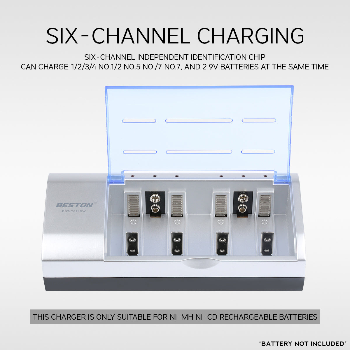 Beston C821BW 6 Bay Multifunction Ni-MH Battery Charger for AA AAA D Size C Size 9V NIMH