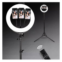 STUDIOMATE HQ-14N LED Ring Light 14 inches with 3pcs Phone Clamps Round Light for Selfie Photo Video Content