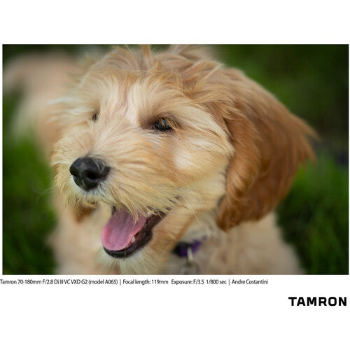 Tamron A065S 70-180mm f/2.8 Di III VC VXD G2 Lens for Sony E Full-Frame Mirrorless Cameras