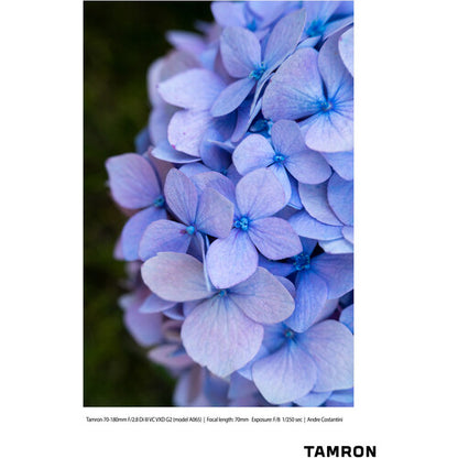 Tamron A065S 70-180mm f/2.8 Di III VC VXD G2 Lens for Sony E Full-Frame Mirrorless Cameras