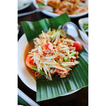 Canon PowerShot V1 Digital Camera with 16-50mm Equivalent f/2.8-4.5 Lens Point and Shoot