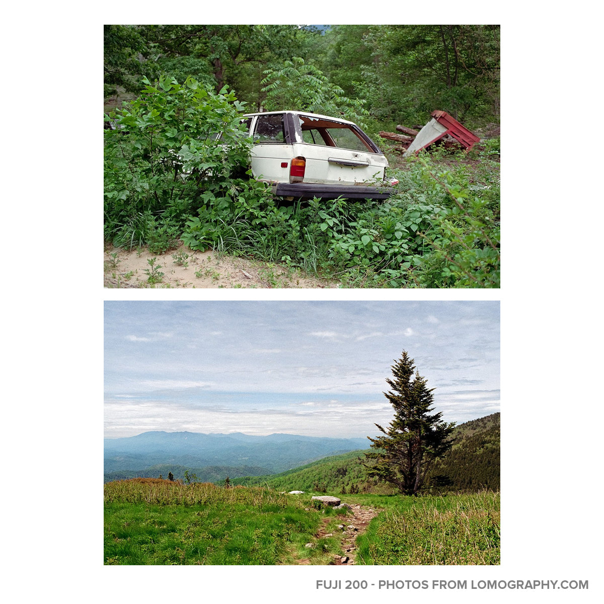 FUJIFILM Color Negative 200 / 400 Camera Film (35mm, 36 Exposures, C41 Process) C200 C400