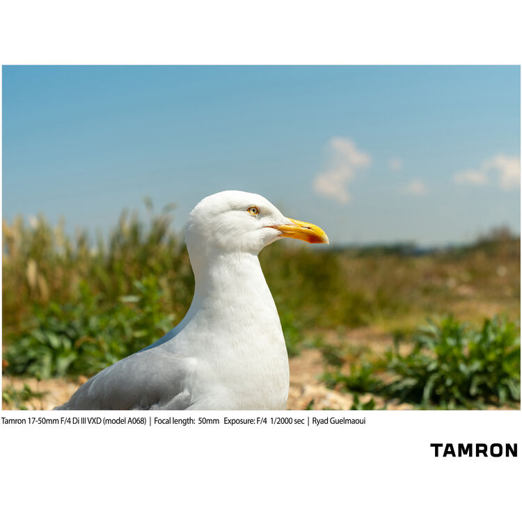 Tamron 17-50mm f/4 Di III VXD Zoom Lens for Sony E-Mount Mirrorless Cameras (A068S)