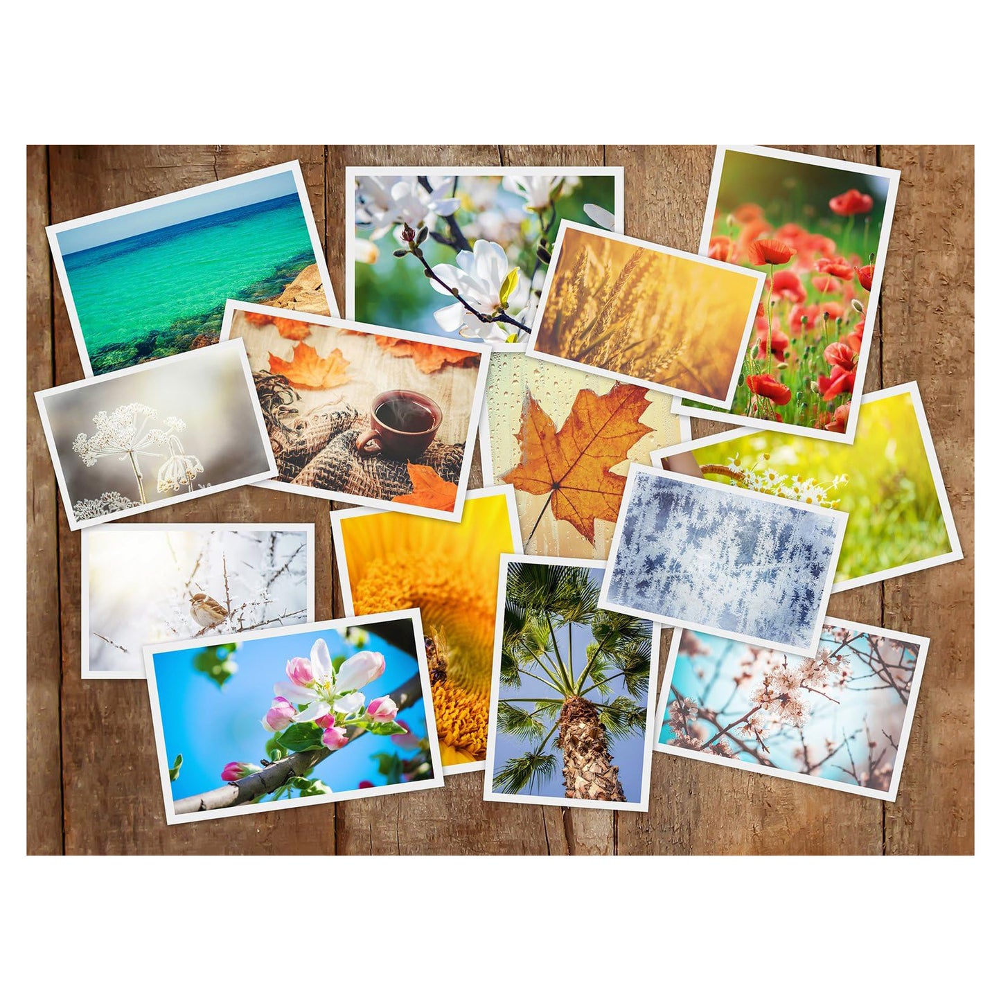 Kodak ZINK Sticker Photo Paper 2 x 3" (20 Sheets / 50 Sheets) for Digital Instant Camera