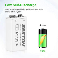 BESTON 9V Rechargeable Batteries, 650mAh Li-ion Rechargeable 9 Volt Battery with Micro USB Charging Port