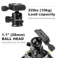 K&F Concept 62'' DSLR Tripod, Lightweight and Compact Aluminum Camera Tripod with 360 Panorama Ball Head Quick Release Plate for Travel and Work TM2324